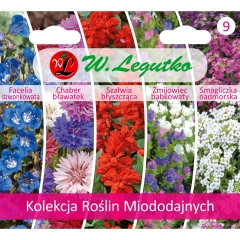 Legutko Kolekcja Roślin Miododajnych 25,9 g