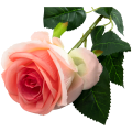 8c6697abe4e3ab00d3abb271c9b3e5b1