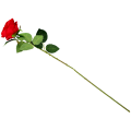37c22b453dcf4c068f38626a54138719