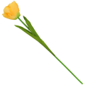 488aa04de577584465f6d02997874f13