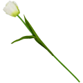 f1ecf9e38884ac886f7ceff1d1aa57c9