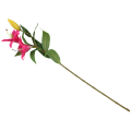 1b0dd12df71607dd6cee992565678ef0