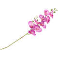 6b34ba0772d5a4e7f5fc7761eea76ffc
