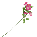4fd130edb016f3ff8acbe30fe3789bfb