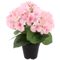 4f5237d1dd755005e8aabff18ed12978