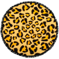 74a9979183041b53d20cdca5d2c87bfe