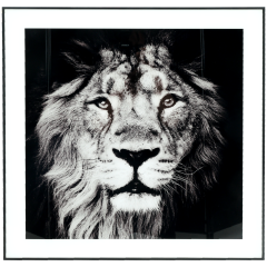 Wydruk zdjęcia w ramce 57x57cm różne warianty