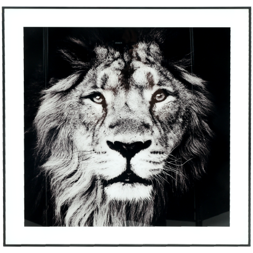 3c68ec75dbd9fe9771c4bffc90f25c90