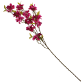 b2fc7a2ff032d055aaf98080219fd4a2