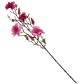 7aee492f363569b46ec18ddcd1d947ce