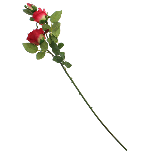 c10e3ad2d6be3eac8e118e79e92e8198