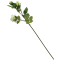 454be70c7d76e6e22e72f379bfc24f78