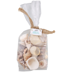 Dekoracyjne muszle Różne warianty