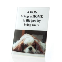 Ceramiczna Ramka Na Zdjęcie PIESEK 12x18cm BIAŁA