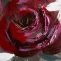 8c954ea83ee5c071a89c7534908126db