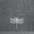 9ab2d4c9317609507af06e1be7c9de91