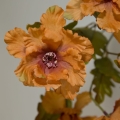 b1350e316715842f0aebefdfa2f18a01