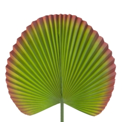 SZTUCZNY KWIAT SZTUCZNY LIŚĆ OZDOBNY 22 CM ZIELONY 6szt