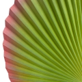 3d5066ec6a6d797b8dbad256f40ad4ab