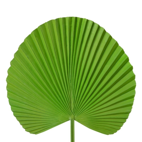 9fe67f319f7ca9bb3f184e4d7e889c54
