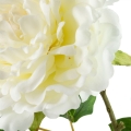 5f44fdccf1c1cb92588a0659cc340480