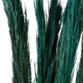 a703262e4ac0465a2fbe4173da4db786