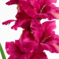 07fff7daf5da5ad6a1f8f689554cce2f