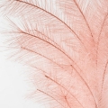 1080db9a397bc9da05c16b644c7147cc