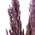 97f0323ac8d31ae583a640da11ccf9f4