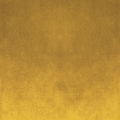 06746f99a08469c61686ef5a702db4b5