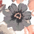 1a159fe9f5dcdf70c02e3f0d789379e0