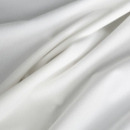 a1f950074df9c45a05df7ab6e2beba17