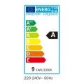 1ee50e53364cc13bb180eec9b2500386
