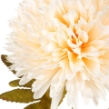 e865ab2736d874990e6f41b6e94988bd