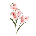 12dc43d52accefcb89c37ec1bd6bf729