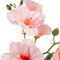 5bd717e35b8ef090c8c7d6a2dfb6b908