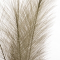a0035c560e722d0fd860a93239ba3554