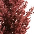 e56f5a1d2ae4c432b36eb7ca1ecb52f5