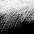 565ab17ce1424182039078c37bd583df