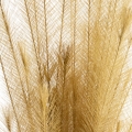 c27c5ffdcd2d3aa3e5bacdf8b61756da