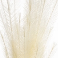 a8b749abcc120695776e5dc6d0054b58