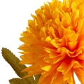 20ecdf9fe8ff53813011e5b96b750f44