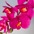 eb7f7f2dbaa30176df37ff35736f8c13