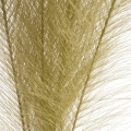 b3cfba711273471df7a0a82e77003def