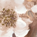 33ee9ff15ba7f3bb09d43a10c8c9b6ba