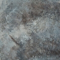 243065011c0b5c724ff2716cda298d6d