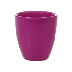 Osłonka storczyka mini 8cm różowa