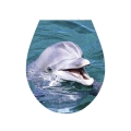 195df241acbd2eac2ce0a11671e4fa0c