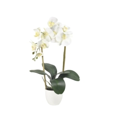 Storczyk sztuczny 1pęd 56cm na pergoli