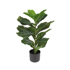 Fikus Lyrata sztuczny 70cm w doniczce